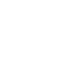 Consultation Icon