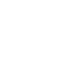 Care Icon